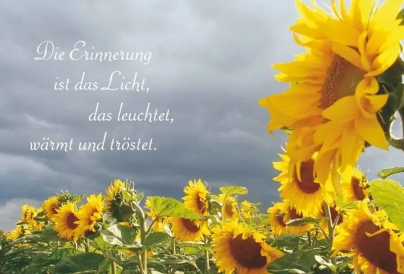 Condolence image of Paul mit "Spiky" tief im Herzen