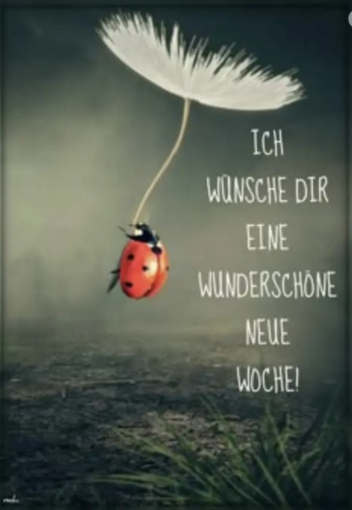 Condolence image of Wenke mit Lilli im❤️