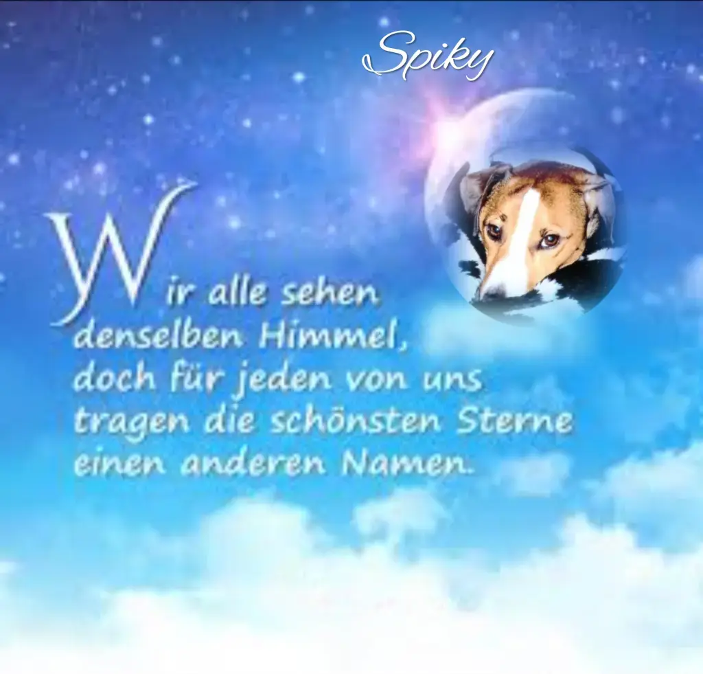 Condolence image of Paul