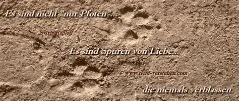 Condolence image of Paul