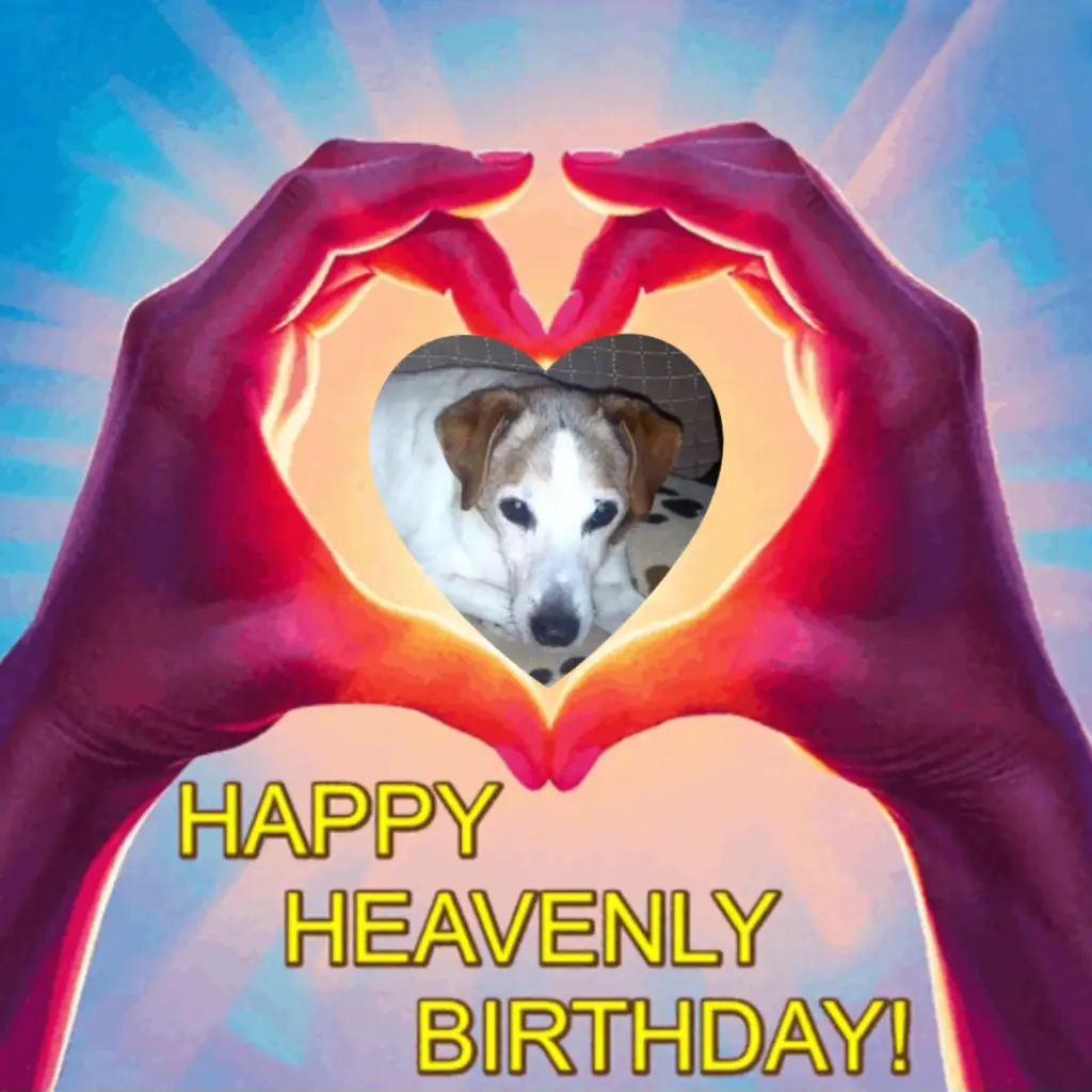 Condolence image of 🌺Happy Birthday🌺 lieber Spiky♥️