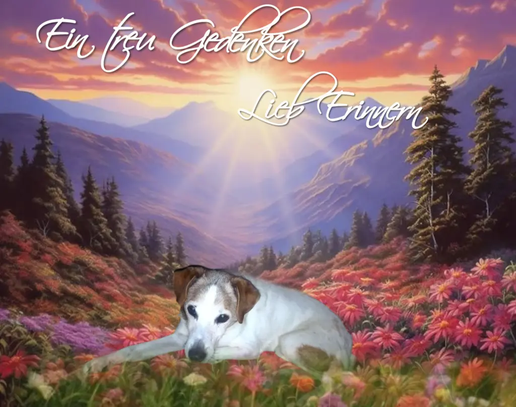 Condolence image of 🌹🕊️🌿🕊️🌹