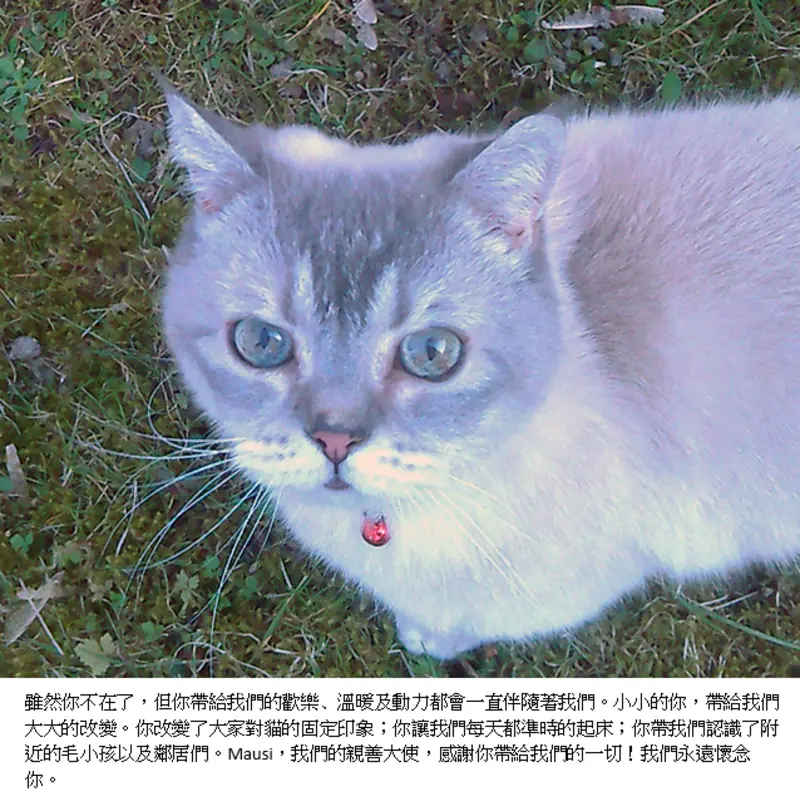 Image from Mausi