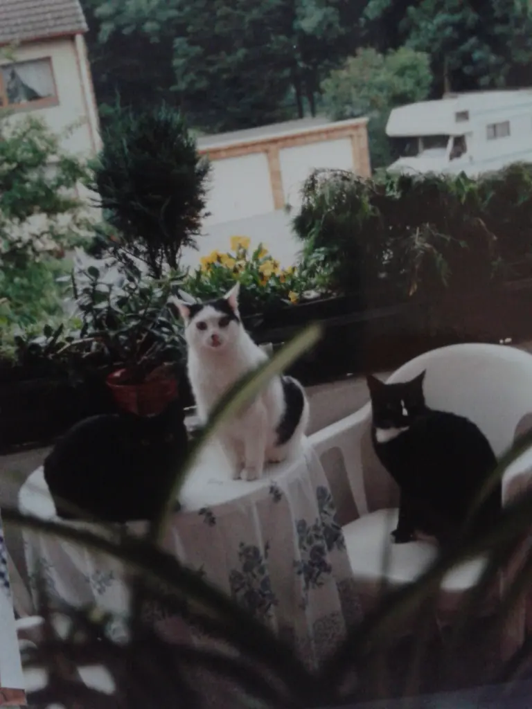 Andachtsbild von Jutta Kühn