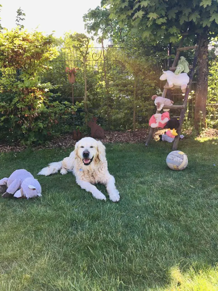 Andachtsbild von Andy und Piet 