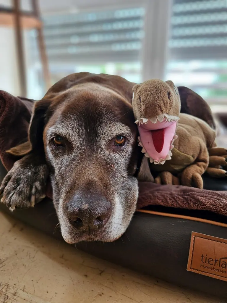 Andachtsbild von Ein Teil von BEN