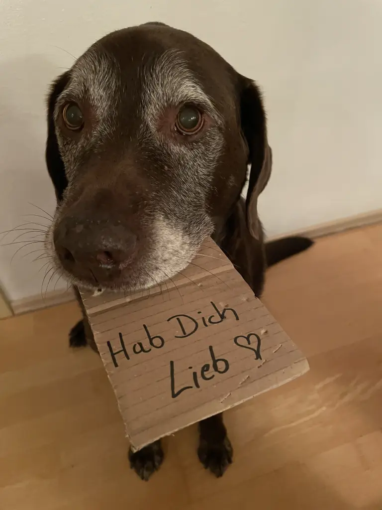 Andachtsbild von Für immer bei uns mein kleiner!