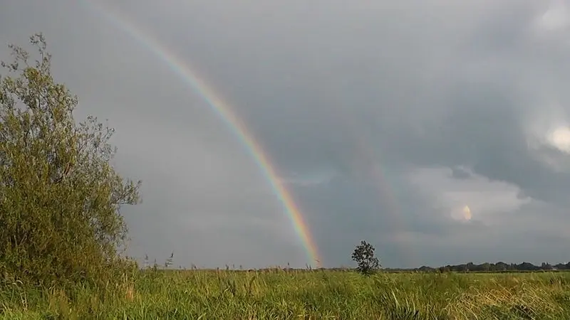 Condolence image of Sabine und Mausky im Regenbogenland