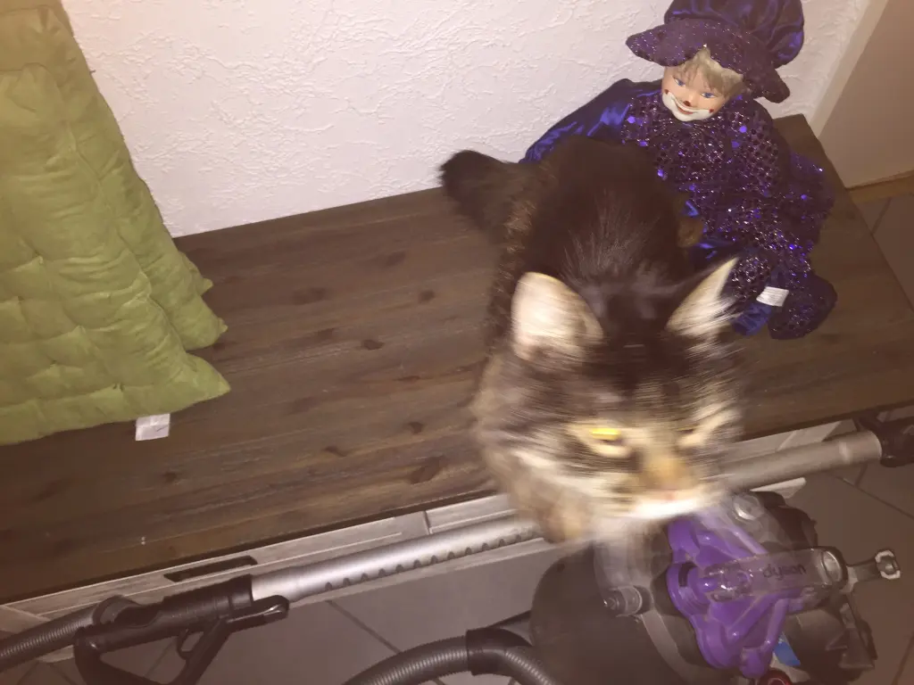 Condolence image of Heike