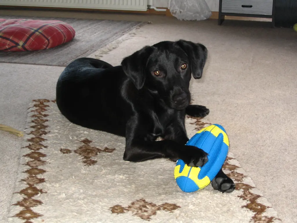 Condolence image of Gudrun