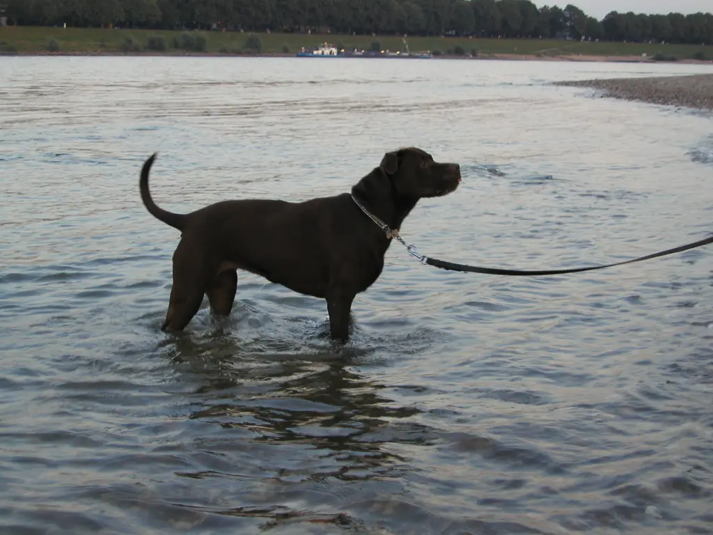 Image from Anka