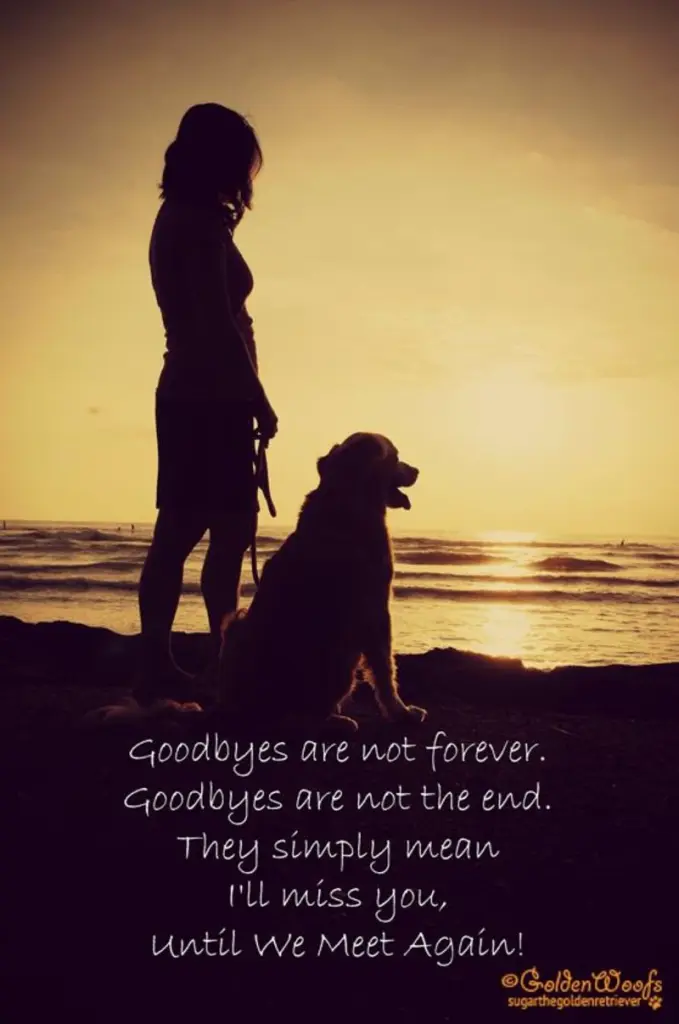 Condolence image of Brigitte