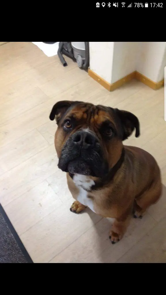 Andachtsbild von Alexandra