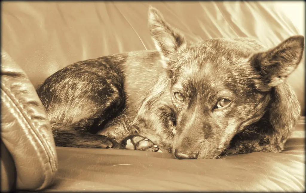 Andachtsbild von Melanie