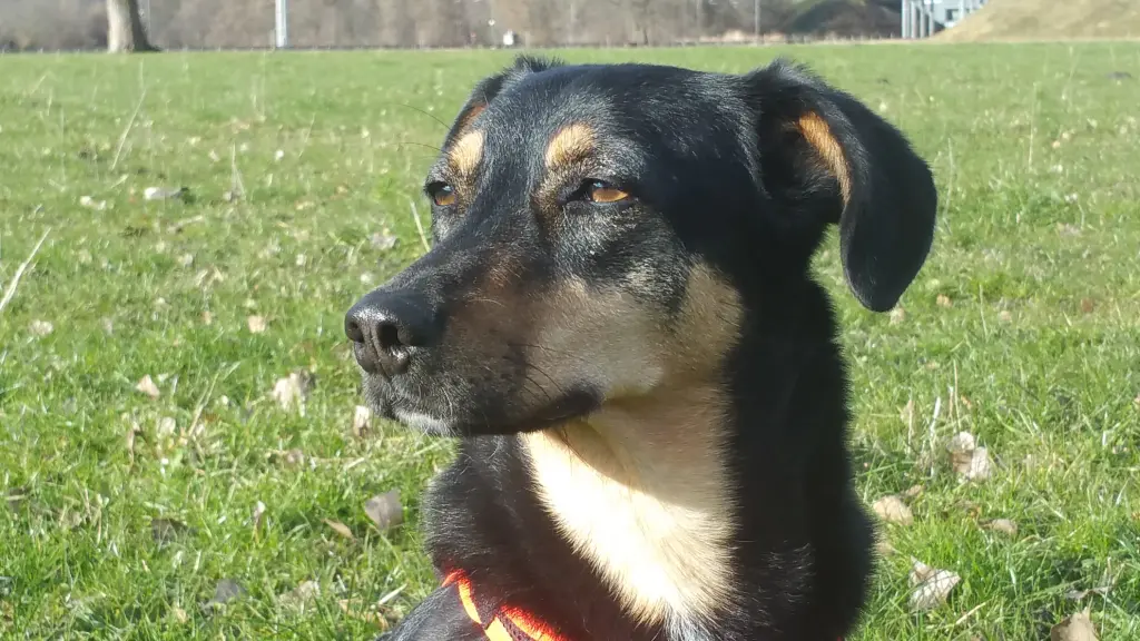 Andachtsbild von Konni mit Mayte tief im Herzen ❤️