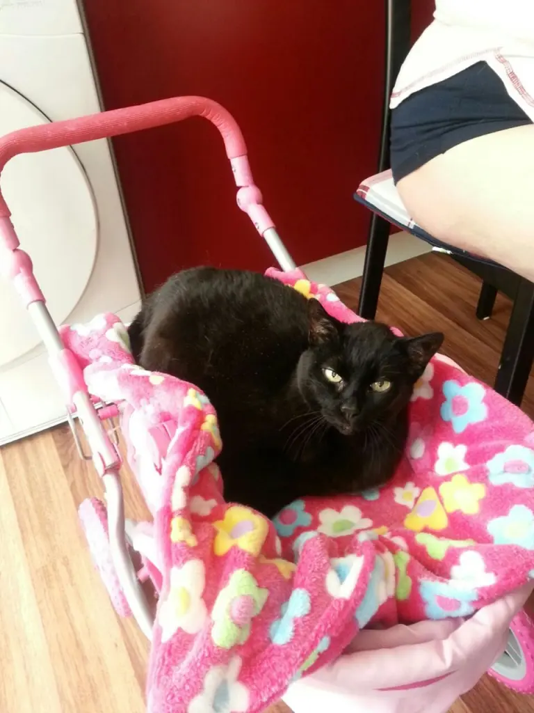 Image from Minnie