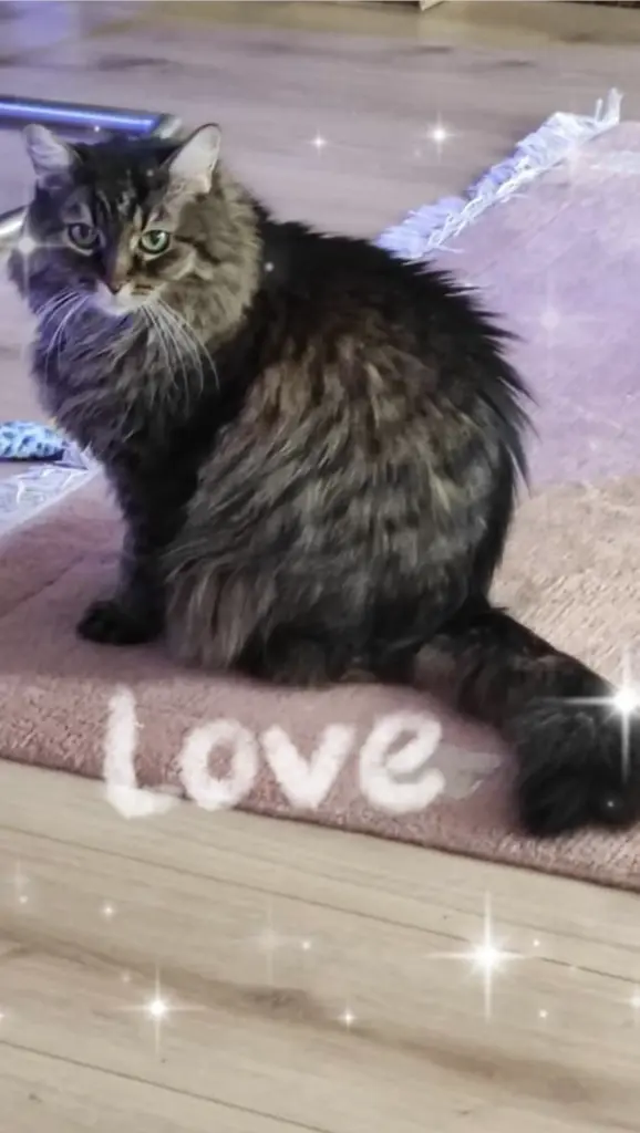 Andachtsbild von Nicole mit Roxy