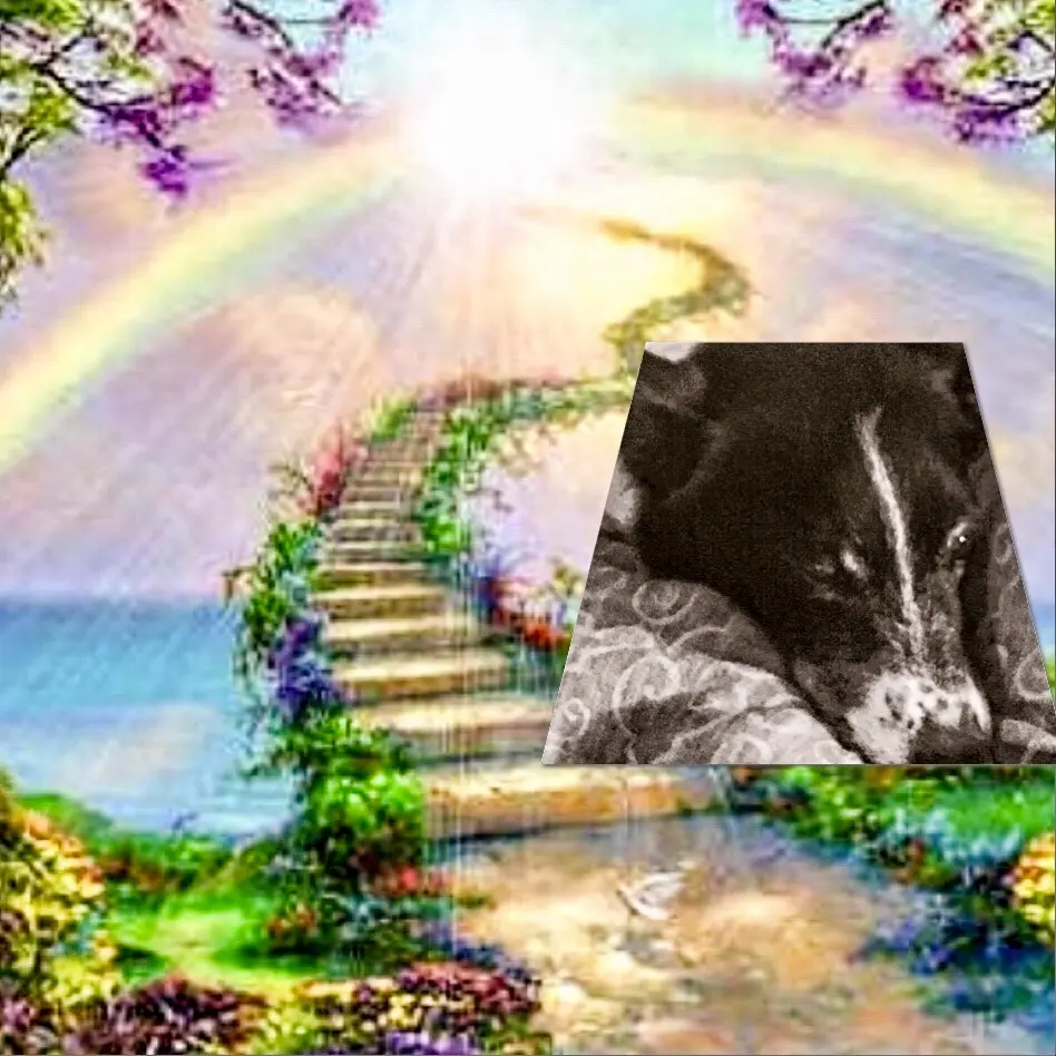 Image from Rusty