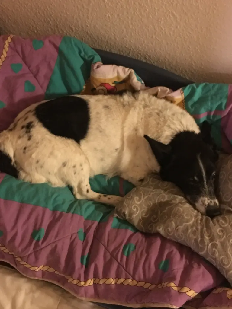 Image from Rusty