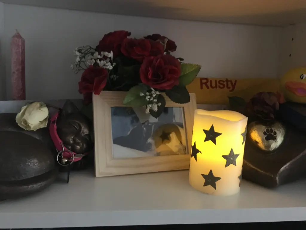 Image from Rusty