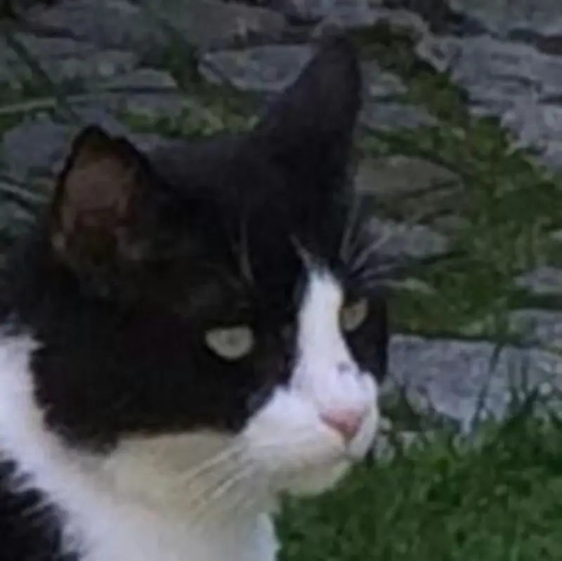 Andachtsbild von Monika mit Carlo im Herzen