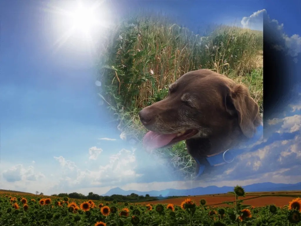 Andachtsbild von Brigitte