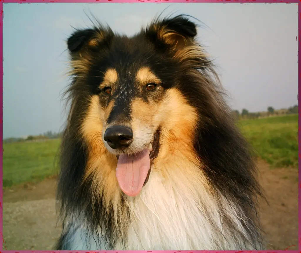 Bild von PINA