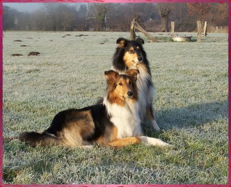 Bild von PINA