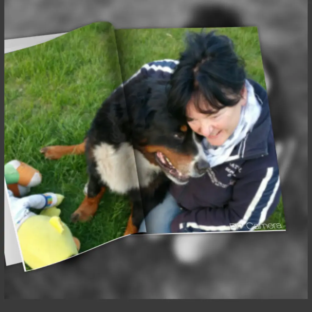 Condolence image of Dorin mit Mephisto im Herzen 