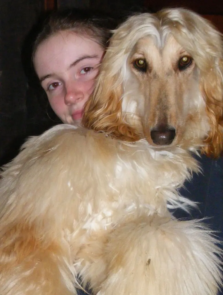 Image from Fuchur