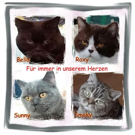 Andachtsbild von Lydia