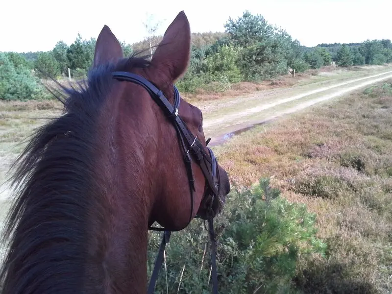 Andachtsbild von Annette und Luki