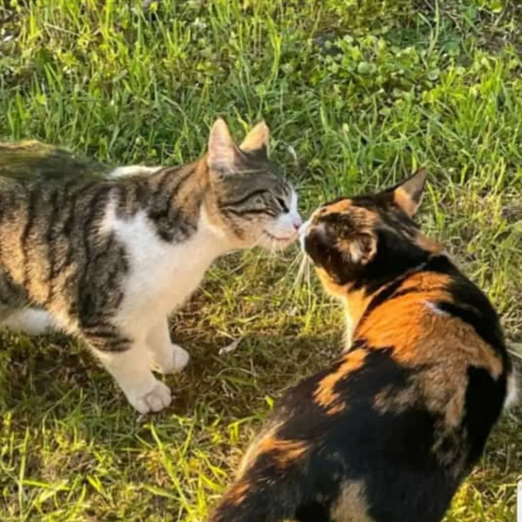 Andachtsbild von Ulla mit Trixi im Herzen