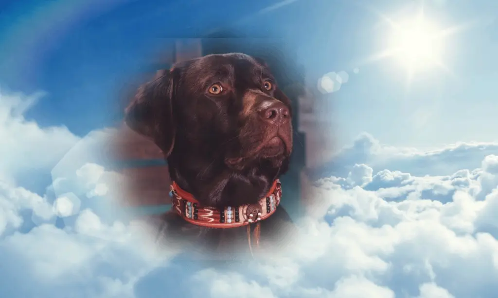 Andachtsbild von Unbekannt