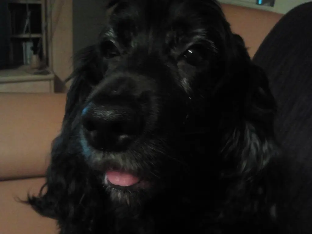 Andachtsbild von Unbekannt