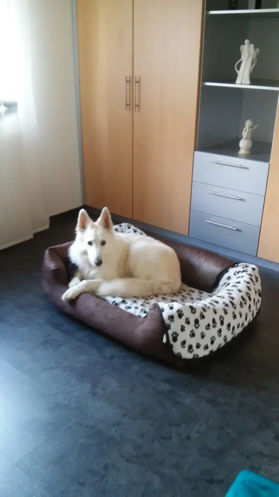 Andachtsbild von Cyra