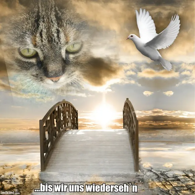 Andachtsbild von Tammy