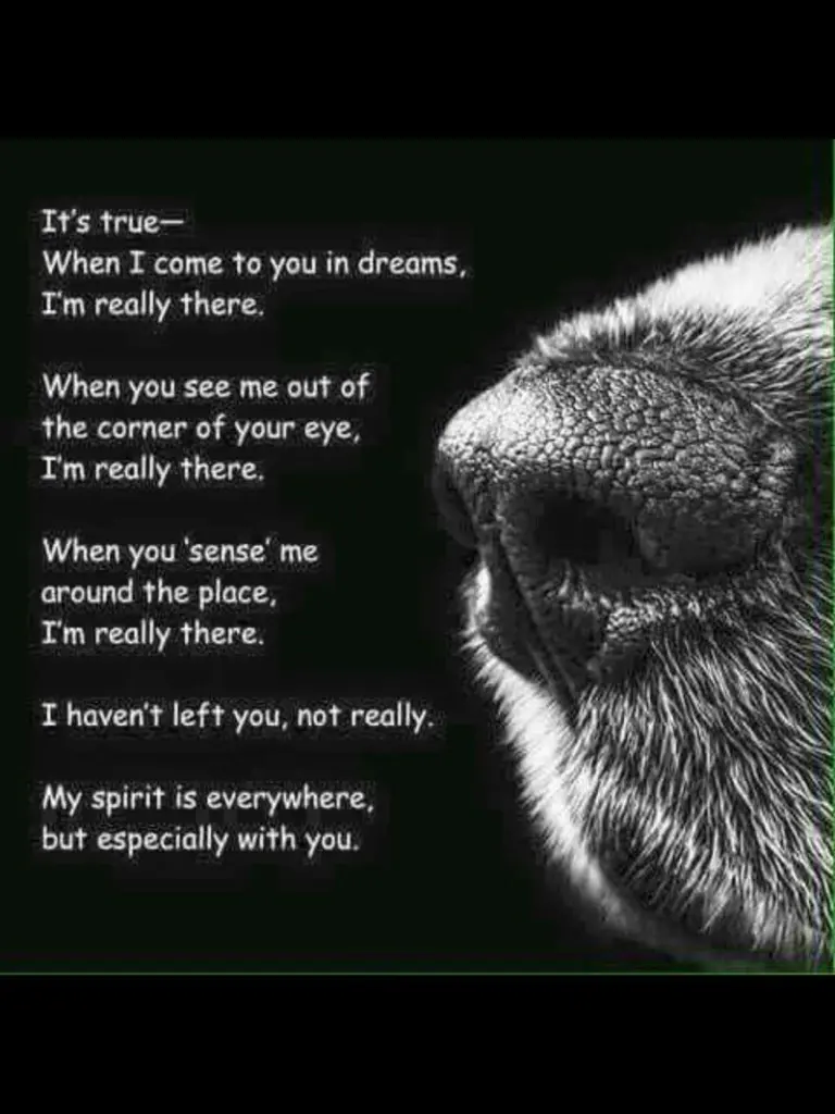 Andachtsbild von Dein Frauchen