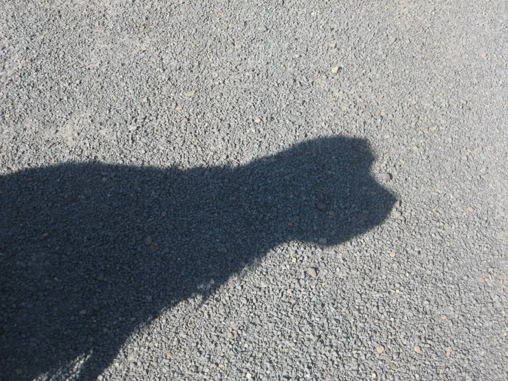 Andachtsbild von Amigo