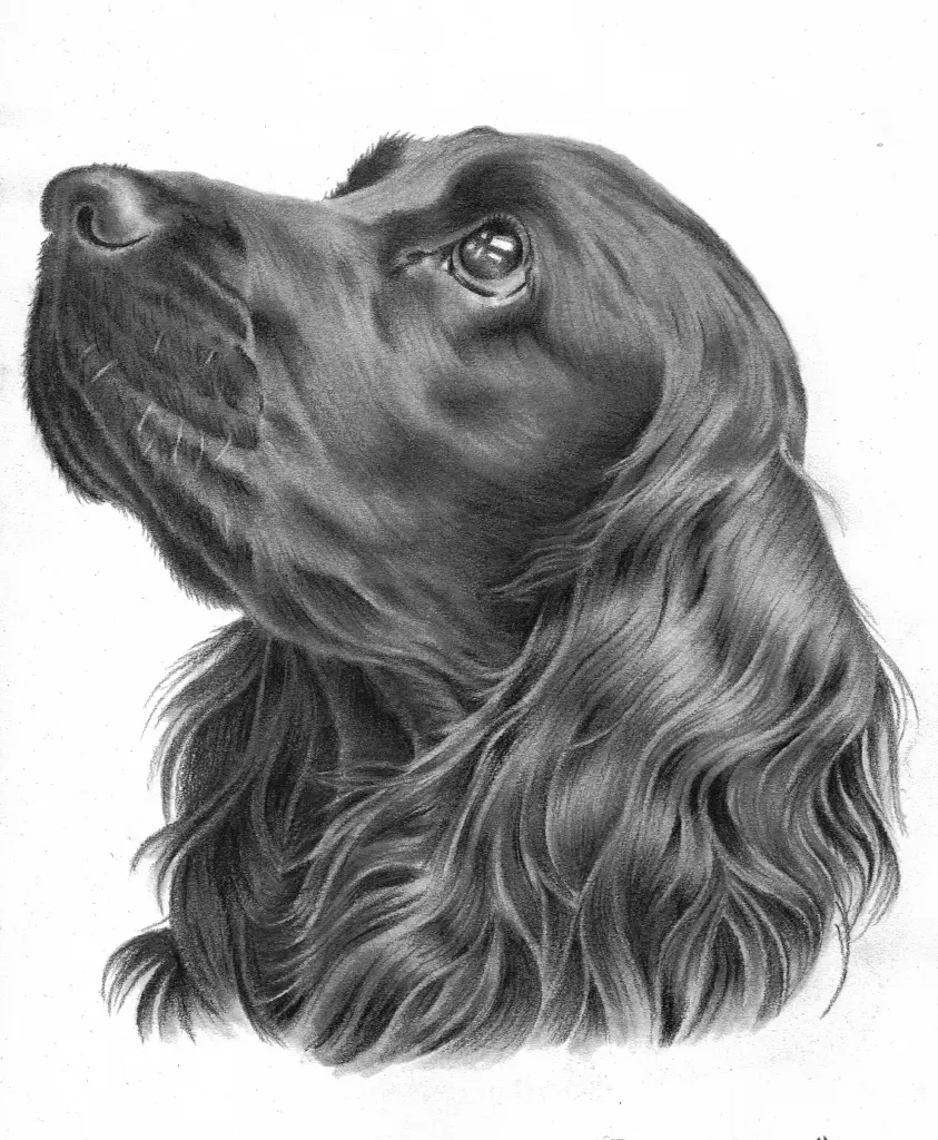 Andachtsbild von Unbekannt