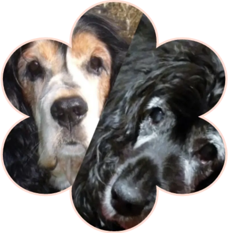 Andachtsbild von Bonnie