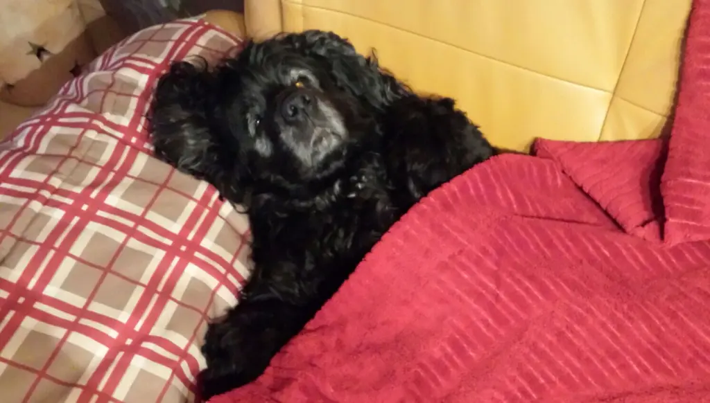 Andachtsbild von mir, mit dir überall