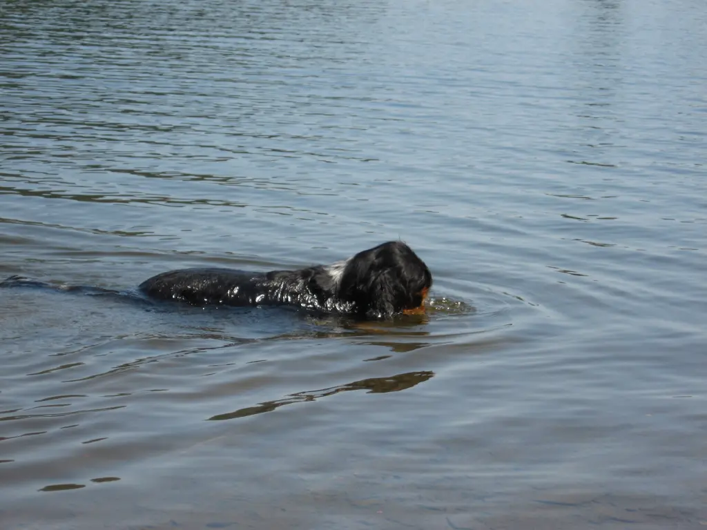 Andachtsbild von Amigo