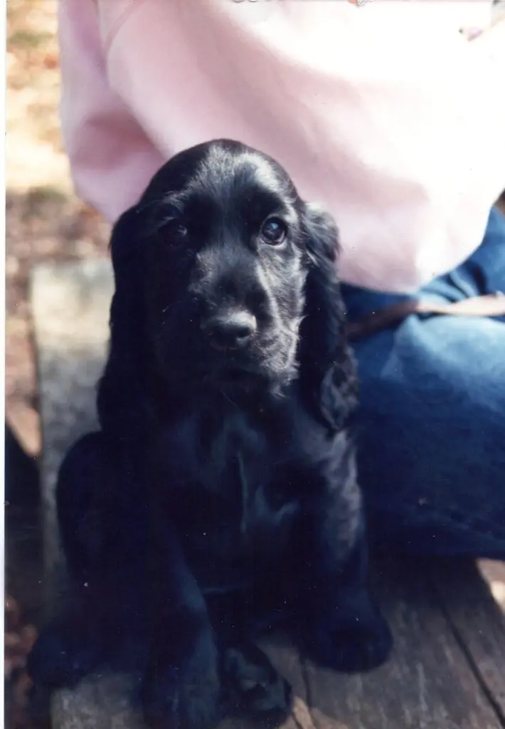 Andachtsbild von USCHI !!!