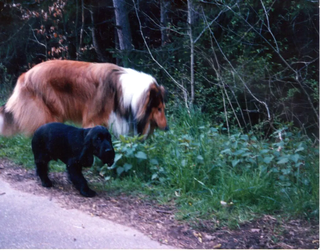 Andachtsbild von USCHI !!!