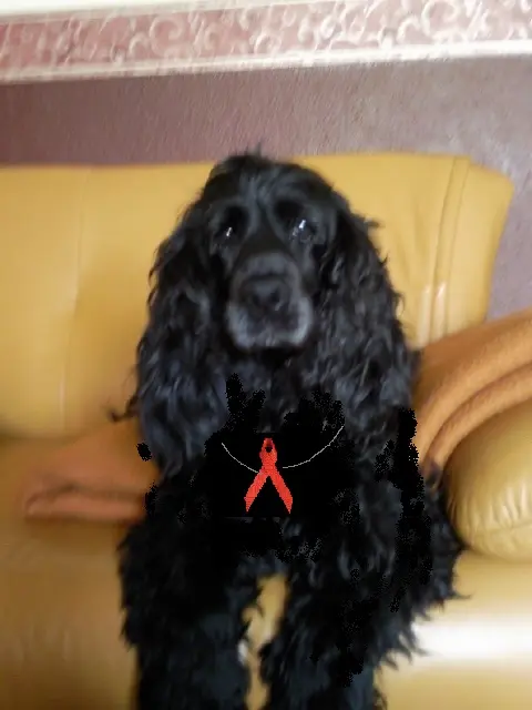 Andachtsbild von Suse & Bonnie