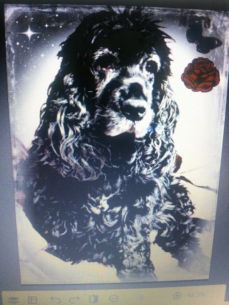 Andachtsbild von Unbekannt