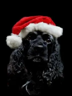 Andachtsbild von Unbekannt