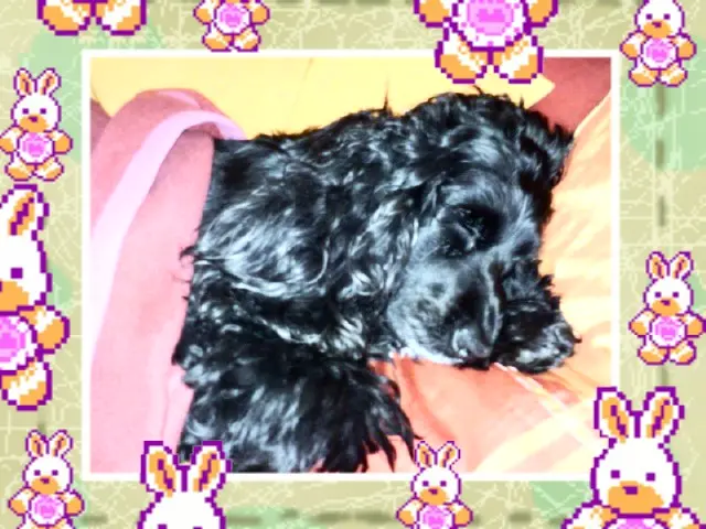 Andachtsbild von Unbekannt