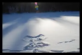 Andachtsbild von Unbekannt